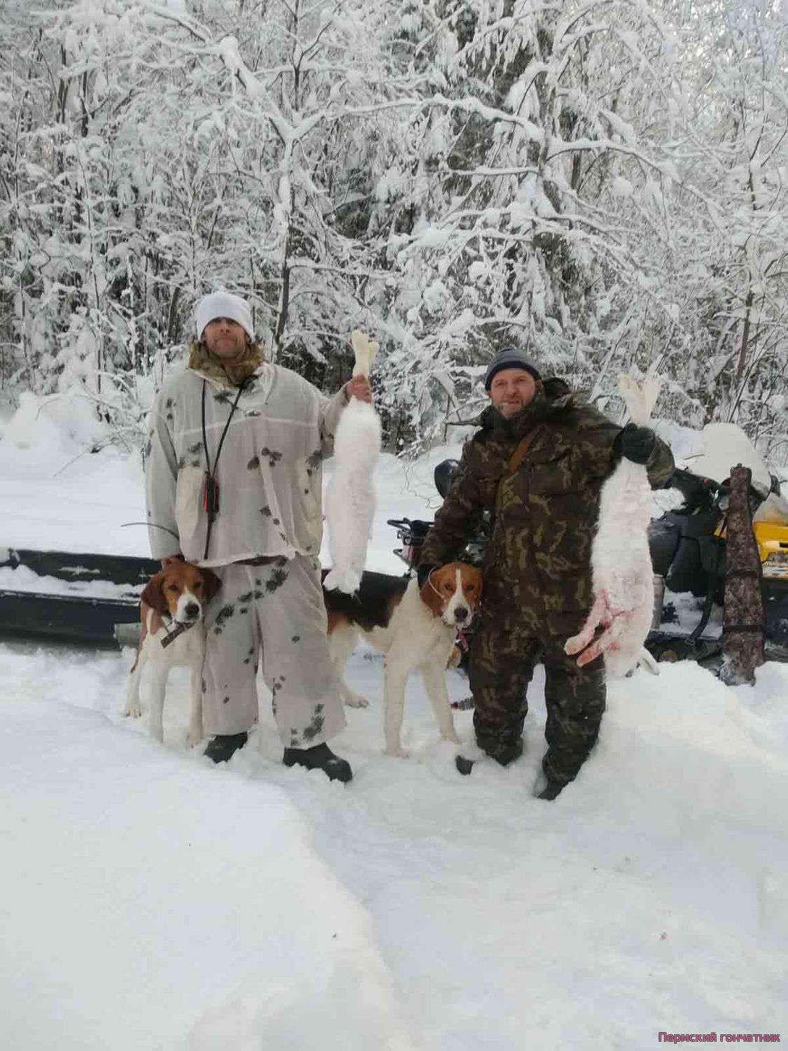 Сайт пермский гончатник